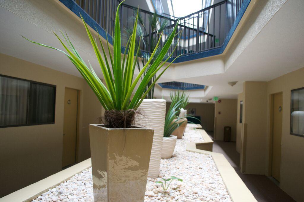 Brighton Suites Hotel - thumb 22