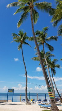 Yeehaw Junction Fl Accommodation Michigan