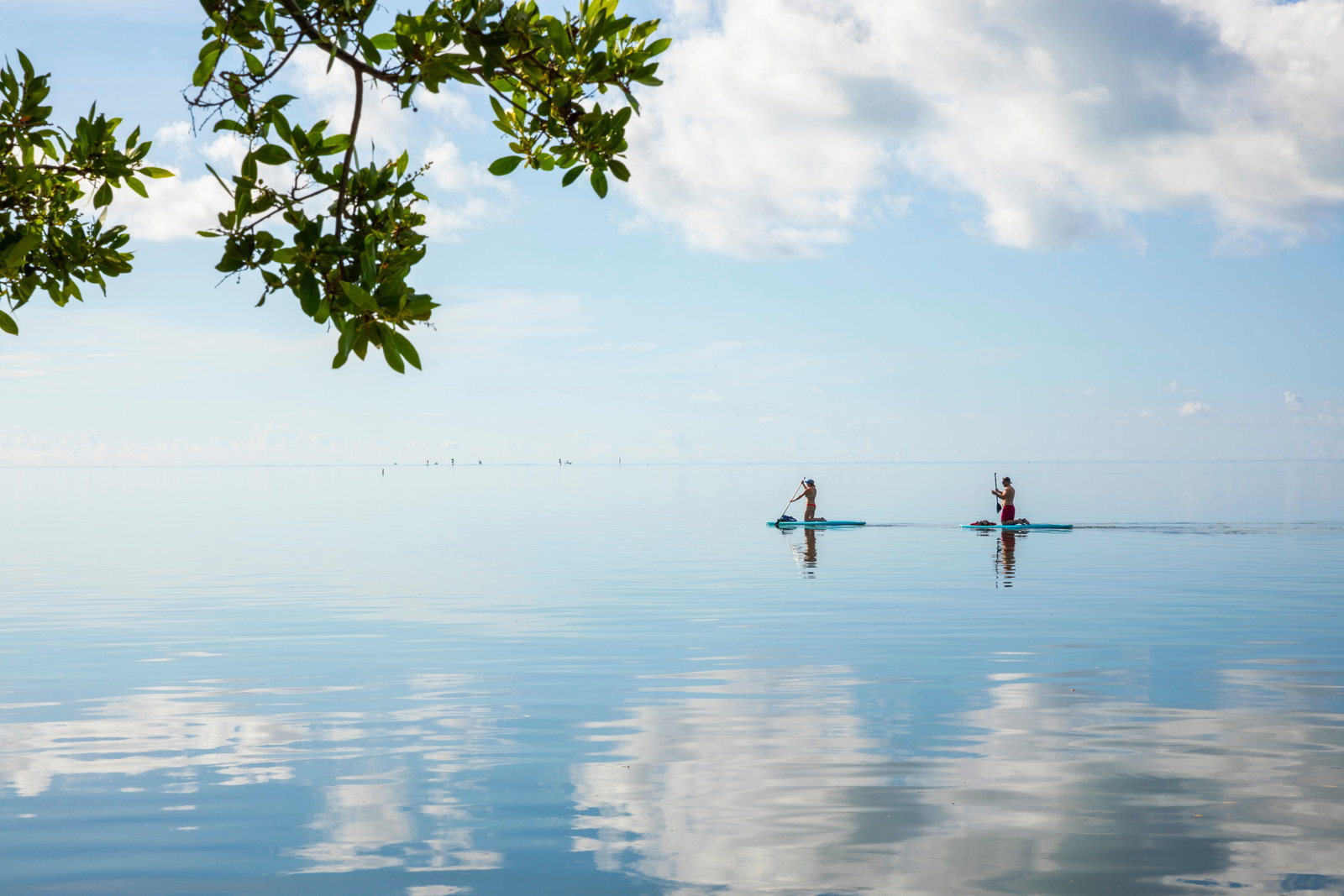 Pelican Cove Resort And Marina - thumb 2