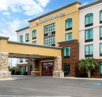 Comfort Inn  Suites - Accommodation Michigan