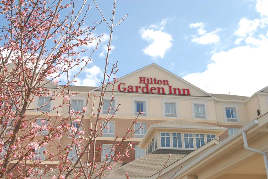Hilton Garden Inn Charlotte/Concord - thumb 2