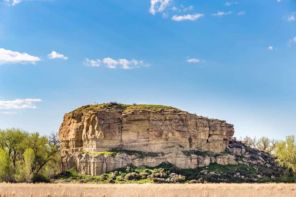 Super 8 Billings - thumb 15