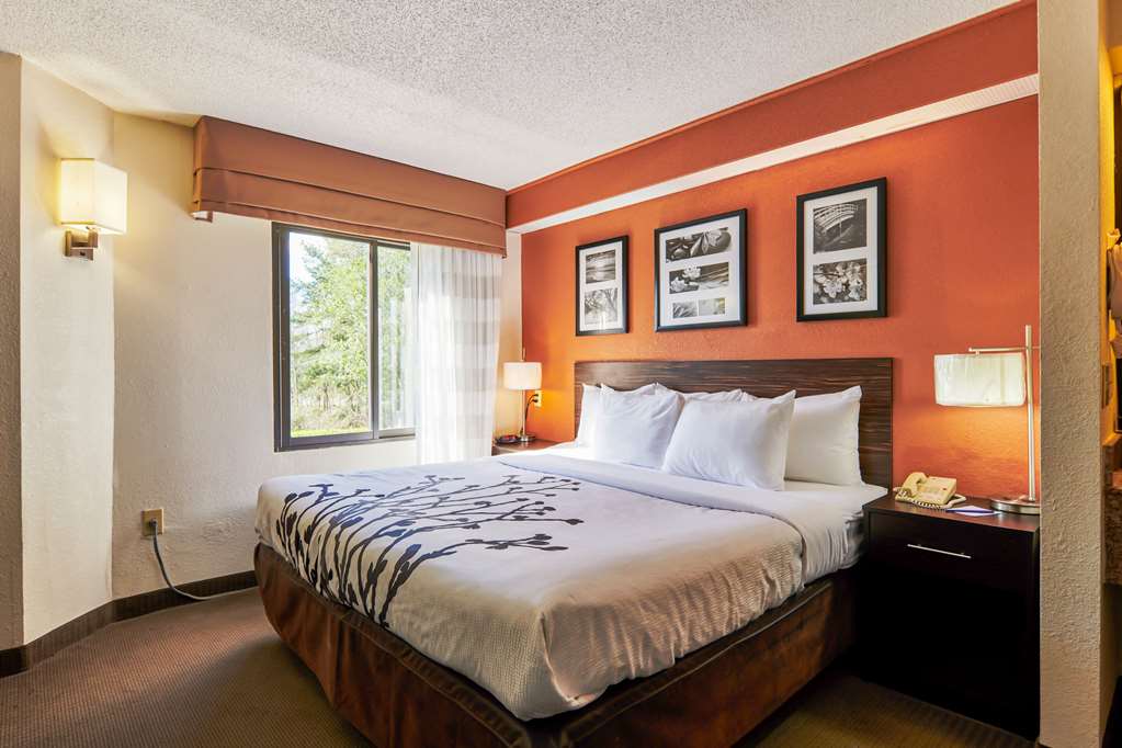 Sleep Inn University - thumb 7