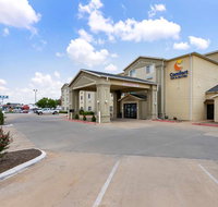 Comfort Inn  Suites - Accommodation Michigan