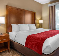 Comfort Inn La Porte - Accommodation Michigan