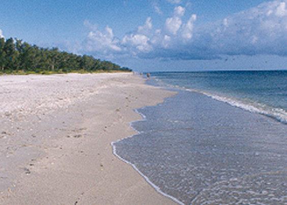 'Tween Waters Inn - thumb 11