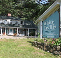 White Trellis Motel - Accommodation Michigan
