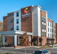 Comfort Inn  Suites Downtown near Univ - Accommodation Michigan