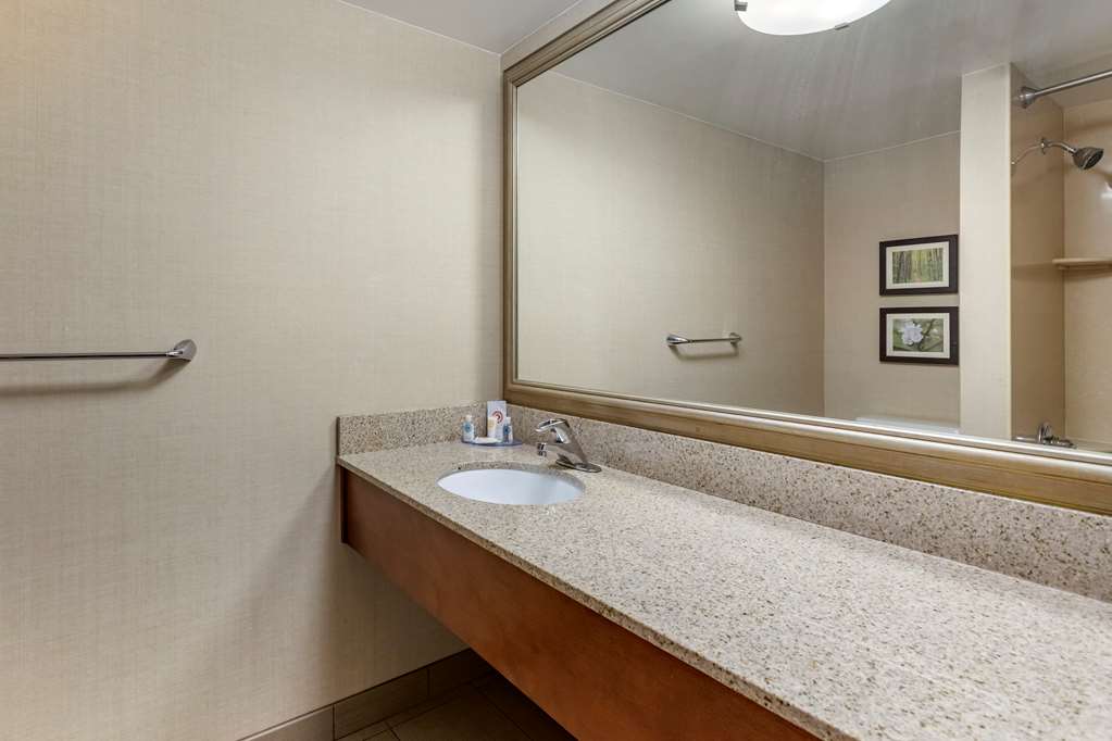 Comfort Inn Lansing - thumb 7