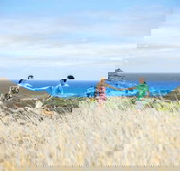 Private Circle Island Sunset Photo Tour - Accommodation Michigan