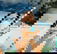 Island and You Circle-Island Local Food Tour of Oahu - Accommodation Michigan