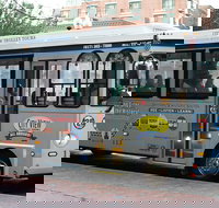 Boston Hop-On Hop-Off Trolley Tour with Harbor Cruise Option - Accommodation Michigan