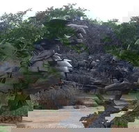 Create Your Own Dallas and Fort Worth Combination Tour - Accommodation Michigan