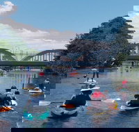 Grand Circle Island Tour with Snorkeling with the Turtles - Accommodation Michigan