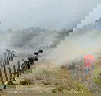 Hawaii Volcanoes National Park Experience - Accommodation Michigan