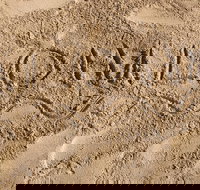 Private Circle Island Tour With Beaches and Local Food - Accommodation Michigan