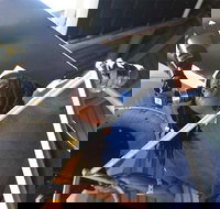 Chicago CityPASS - Accommodation Michigan