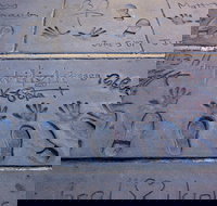 Hollywood Celebrity Homes Tour - Accommodation Michigan