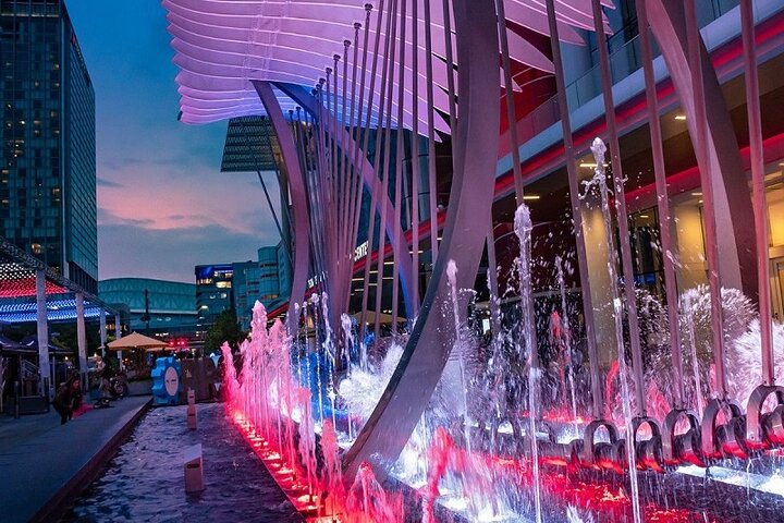 Private Houston City Tour And Nasa Space Center Unlimited Time Visit - thumb 0