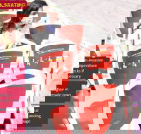 Big Bus Chicago Hop-On Hop-Off Tour - Accommodation Michigan