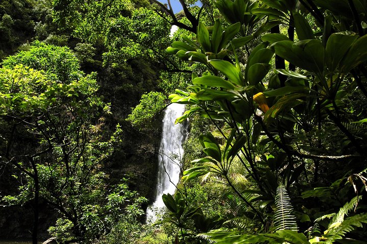 Small-Group Road To Hana Luxury Tour With Helicopter Flight Return - thumb 1