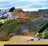 Griffith Observatory Hike Hollywood Hills Walk in Griffith Park - Accommodation Michigan