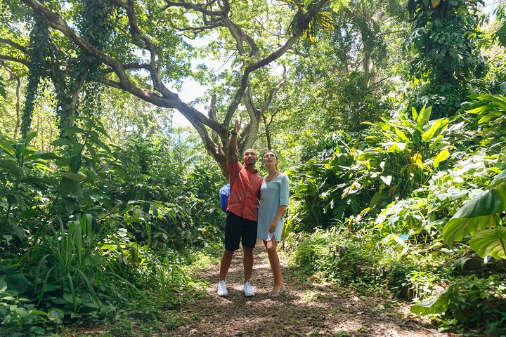 Circle Island (Holoholo Mokupuni) From Ko'olina - thumb 5