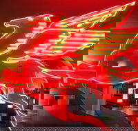 JFK Food and Culture Tour in Dallas - Accommodation Michigan