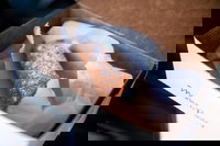 Indian Orchard Ma Accommodation Michigan