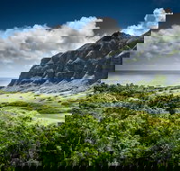 Hidden Gems of Oahu with North Shore Turtle Snorkeling - Accommodation Michigan