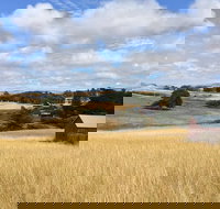 Cow Heaven A Driving Audio Tour from Point Reyes Seashore to Tomales - Accommodation Michigan