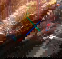 Galaxy Connection General Admission - Accommodation Michigan