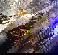 VIP Tour- The Galaxy Connection - Accommodation Michigan