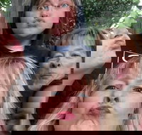 Participate in a Fun Scavenger Hunt in Little Rock by Zombie Scavengers - Accommodation Michigan