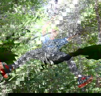 10 Zip Line Zip Tour 1.5 hours - Accommodation Michigan