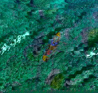 Clear Kayak Tour of Lake Tahoe - Accommodation Michigan