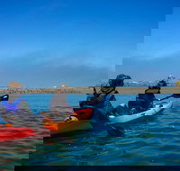 Russian River Kayak Tour at the Beautiful Sonoma Coast - Accommodation Michigan