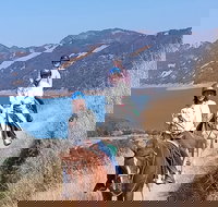 Sonoma Horseback-Riding Tour - Accommodation Michigan