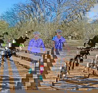 Santa Rosa Bike 'n' Brew - Accommodation Michigan