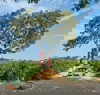 Hop-On Hop-Off Wine Tasting Tour from Morro and Cayucos - Accommodation Michigan