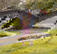 Private Holiday Professional Photo Shoot in Santa Rosa California - Accommodation Michigan