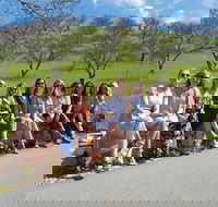 Deliciously Fun Educational Wine Tours in Paso Robles from San Luis Obispo - Accommodation Michigan