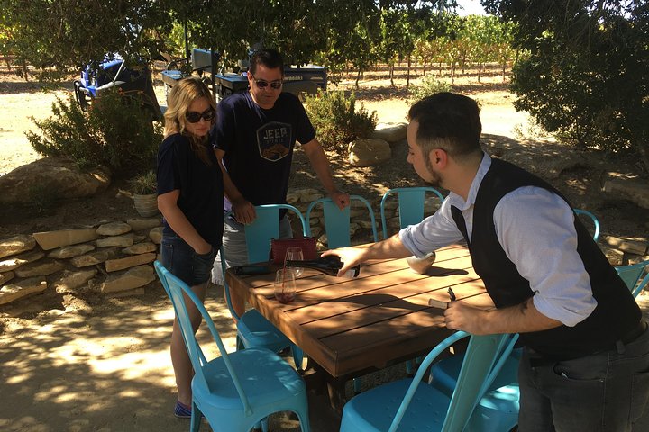 Deliciously Fun Educational Wine Tours In Paso Robles From Avila Beach - thumb 5