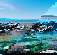 North Lake Tahoe Boulders Private Exploration on a Paddle Board or Kayak - Accommodation Michigan