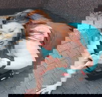 Fun City Scavenger Hunt in Hartford by Zombie Scavengers - Accommodation Michigan