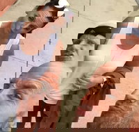 Explore Hartford with a Unique Scavenger Hunt by Crazy Dash - Accommodation Michigan