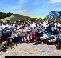 Edna Valley Wine Tour - Accommodation Michigan