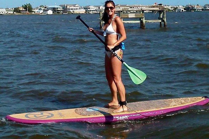 Guided Paddleboard Excursion On Rehoboth Bay - thumb 2