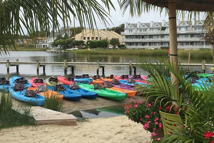 2-Hour Paddleboard Rental In Rehoboth Bay - thumb 2