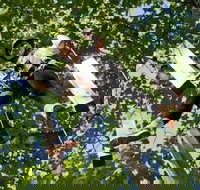 Fields of Fire Adventure Park Admission Ticket - Accommodation Michigan